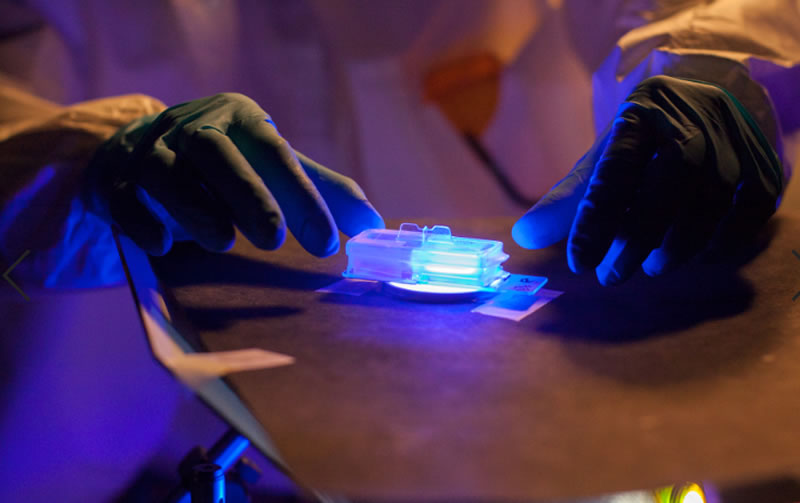 发表“通过使用荧光光能诱导荧光生物调节来管理伤口愈合的所有三个阶段”