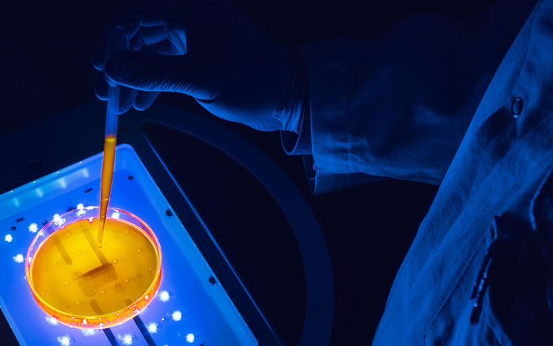 LumiHeal快讯-我们先进的伤口护理产品