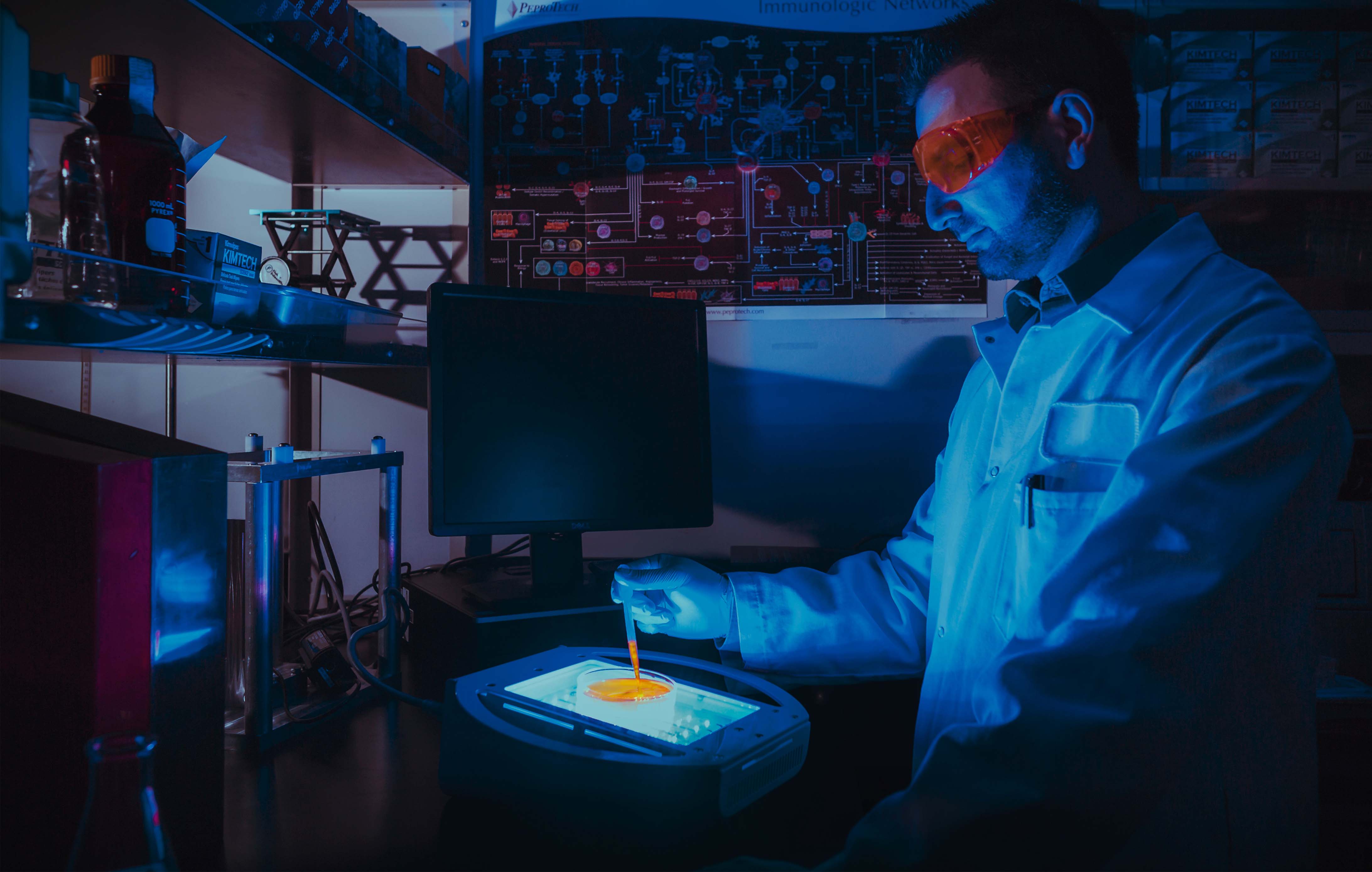 科洛克中欧博士计划起航